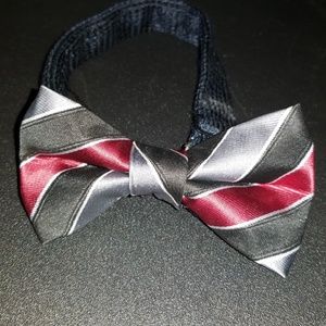 Silk Bow Tie